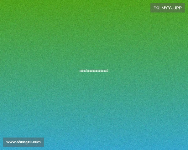 赛事章程(赛事章程上负责人是什么职位)